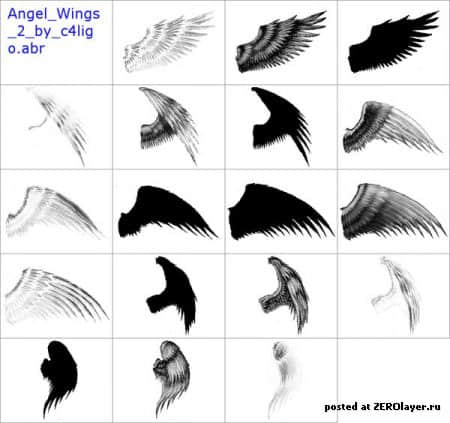真实天使羽毛翅膀侧翼photoshop笔刷素材