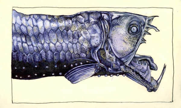 16 viperfish Showcase of Creative Moleskine Art