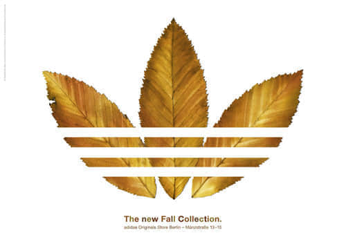 adidas print advertisement fall collection