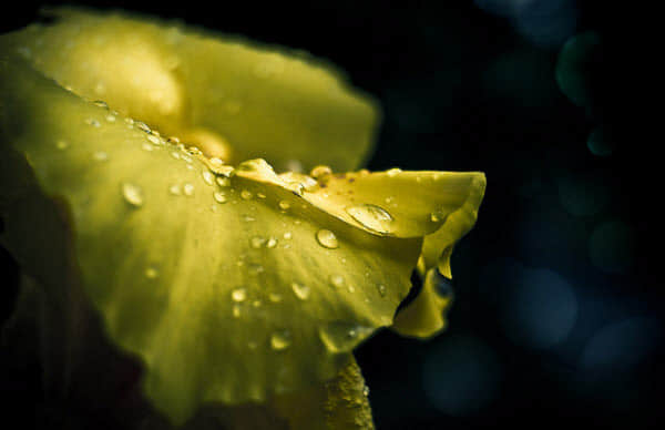 after the rain Rainy Day Photography: 35 Dazzling Examples