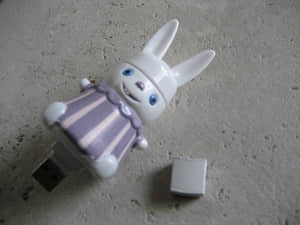 bunny 50+ Weirdest USB Flash Drives Ever
