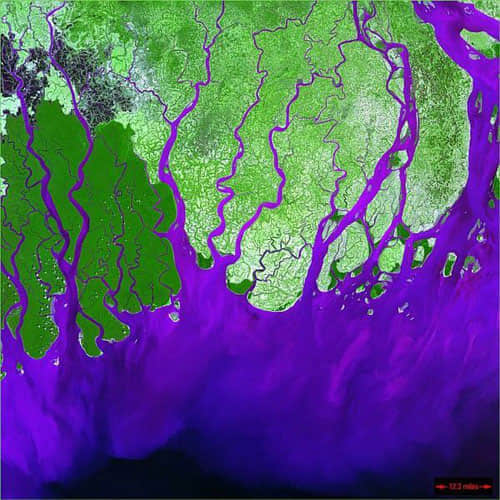 Ganges Delta - India satellite photo