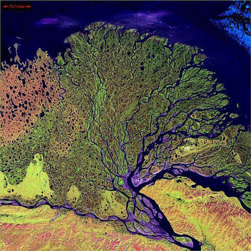 Lena Delta - Russia satellite photo