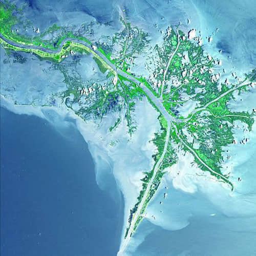 Mississippi Delta - USA satellite photo
