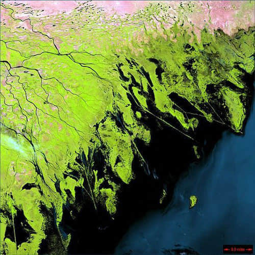 Volga Delta - Russia satellite photo