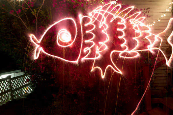 fire fish Showcase of Dazzling Light Painting Artworks