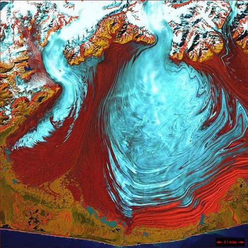 Malaspina Glacier - Alaska, USA satellite photo