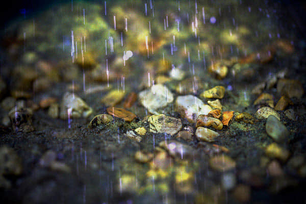 rain rain dont go away Rainy Day Photography: 35 Dazzling Examples