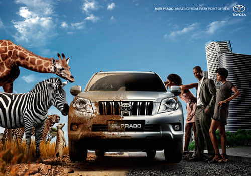 New Prado. Amazing from every point of view Toyota Print Advertisement