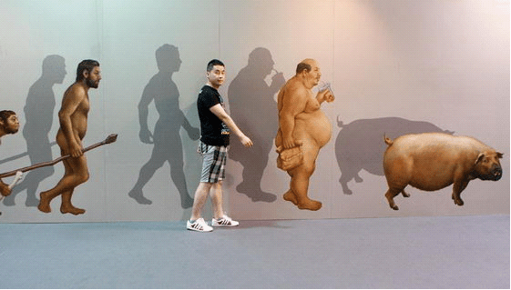 10张来自于“2012国际3D魔幻艺术中国杭州特别展”的现场照片