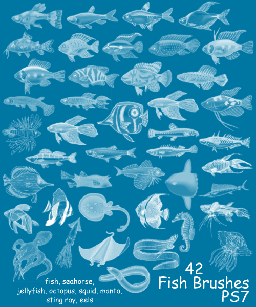42种海洋鱼类笔刷
