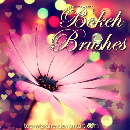 Bokeh Brushes Preview