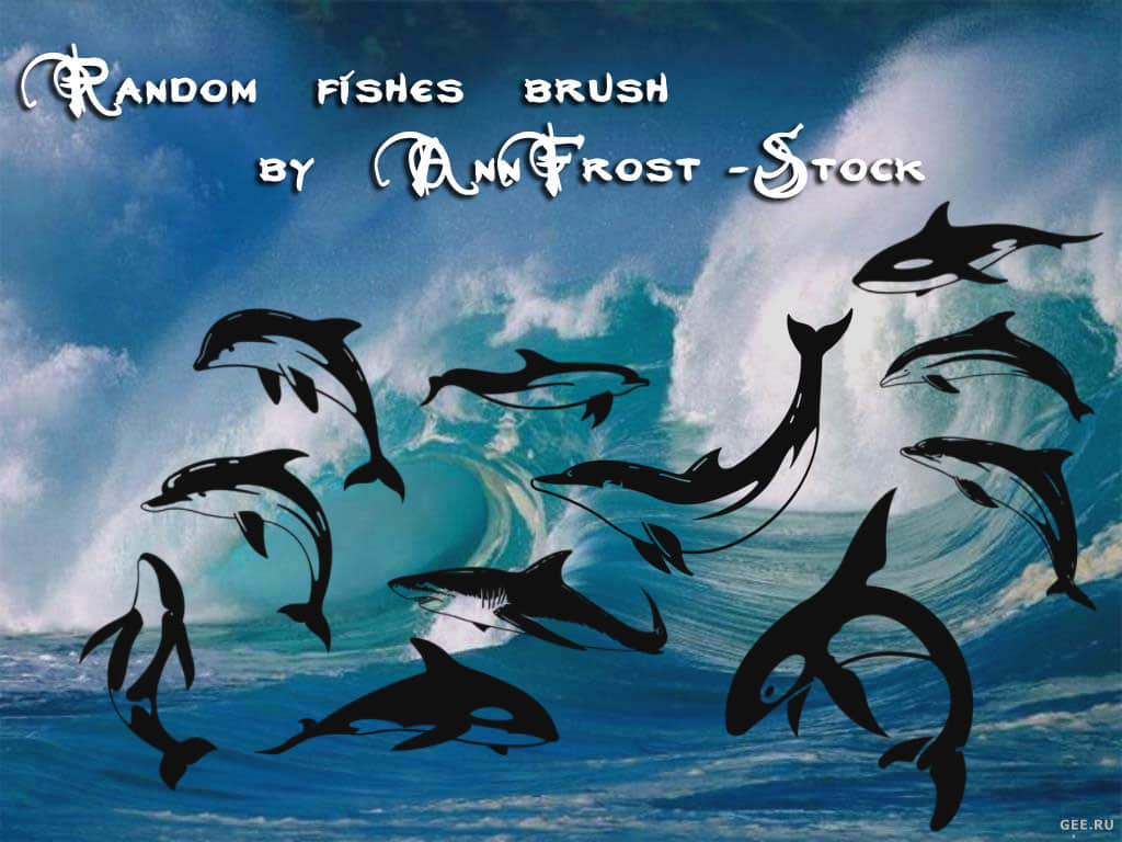 卡通海豚、鲨鱼、鲸鱼图案photoshop笔刷素材下载
