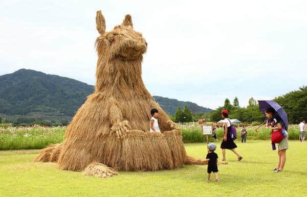 专属你的乐趣，日本稻草艺术节展览
