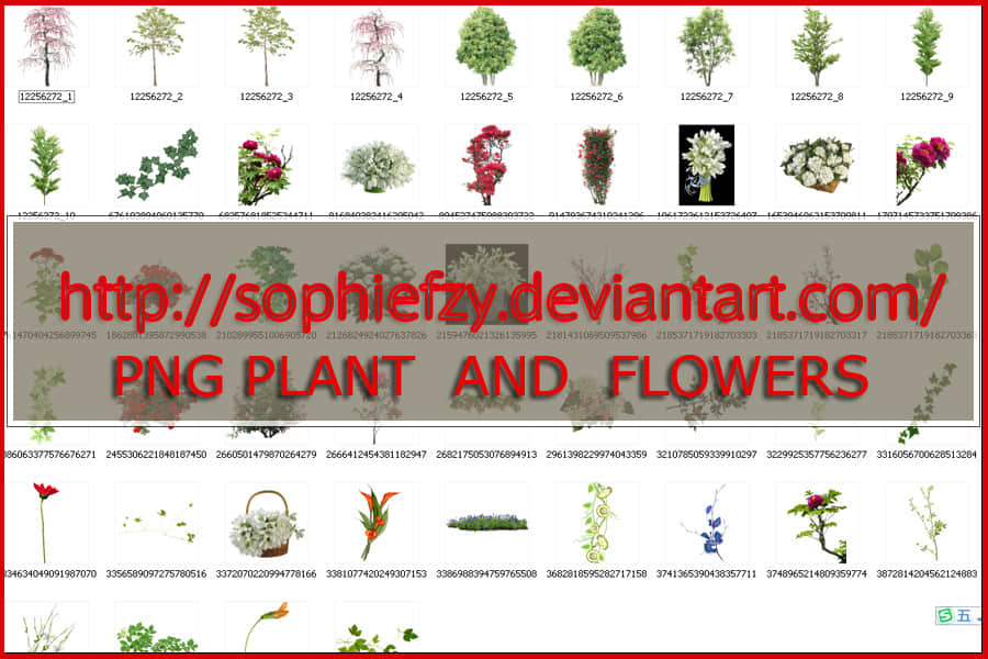 49个鲜花、树木、玫瑰、草木等透明图片素材【美图秀秀素材包】
