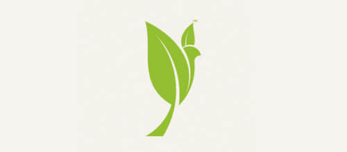 4-leaf-dove-logo