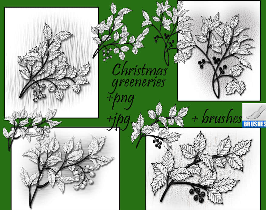 漂亮的手绘圣诞节枝叶、圣诞节饰品装饰PS笔刷下载