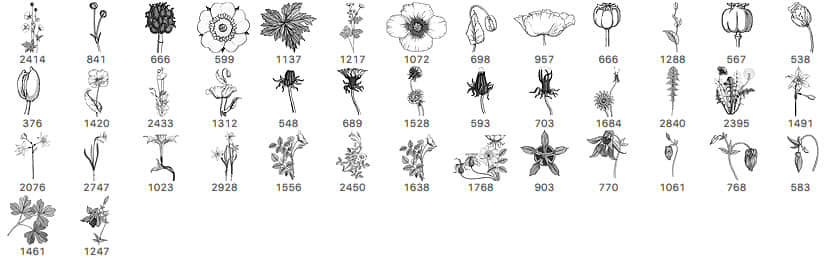 32种植物野草野花造型PS剪贴画笔刷素材