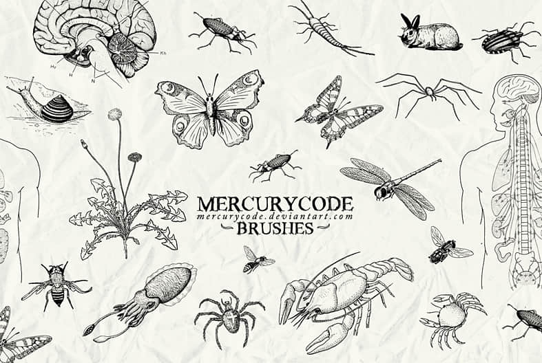 brushset_03__biology_by_mercurycode-d65gr8m