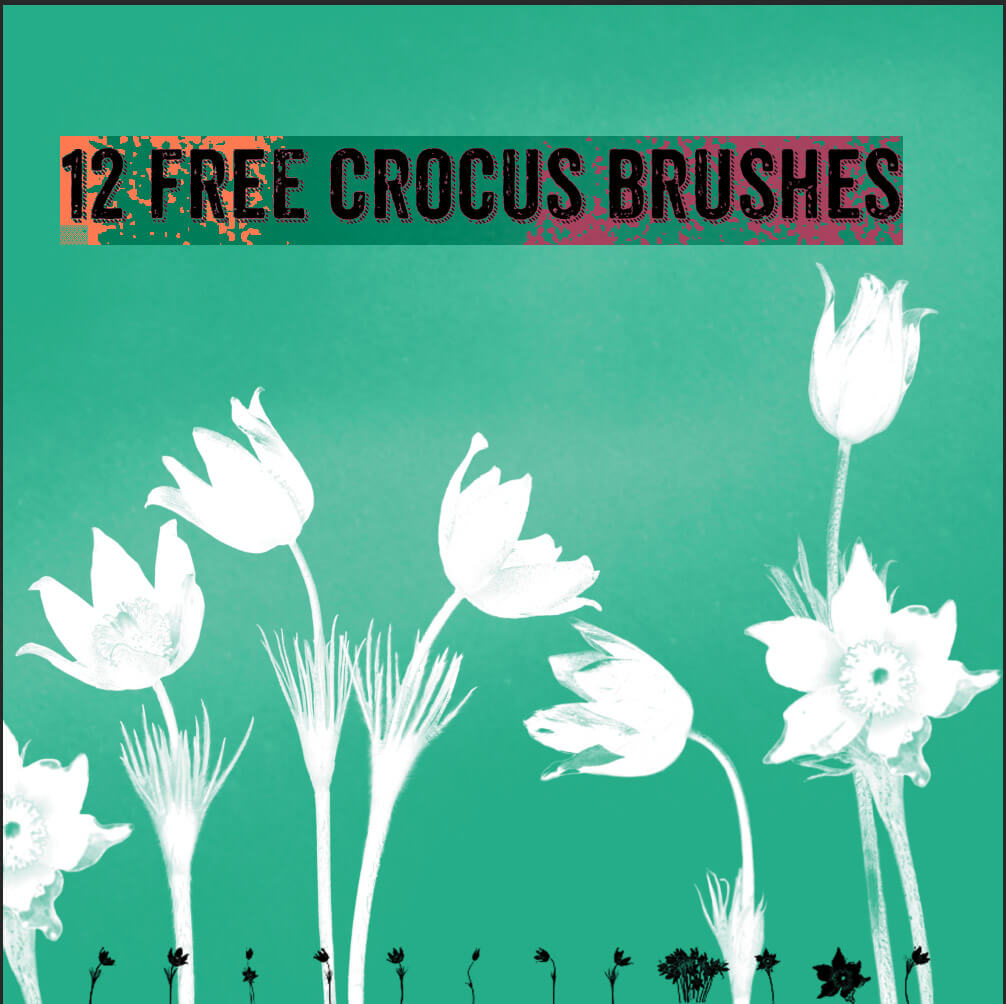 12种免费的水彩造型鲜花图案PS笔刷素材下载