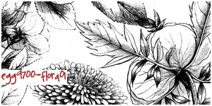 素描式手绘植物花纹图案Photoshop笔刷素材下载