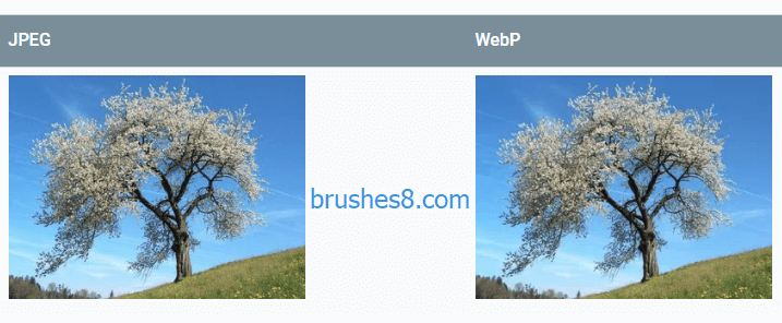 让你的Windowx系统支持显示 WebP 图像格式的缩略图！