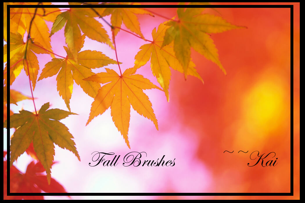 秋天的红叶祭效果、红叶、树叶PS叶子笔刷素材