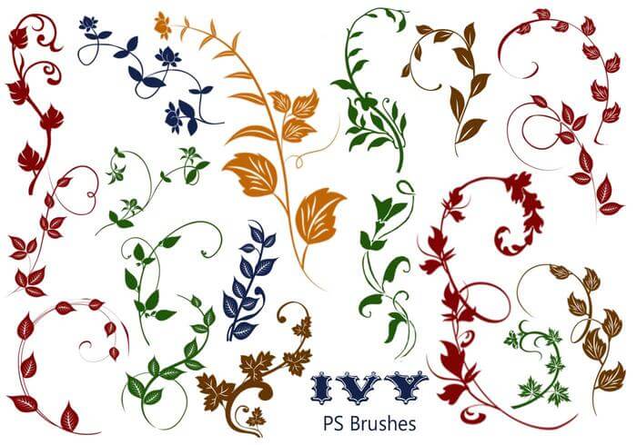 20种植物常青藤花纹图案ps笔刷素材下载