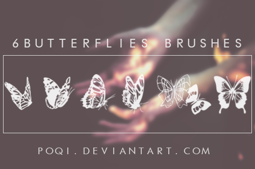 6种蝴蝶花纹印记图案PS笔刷下载