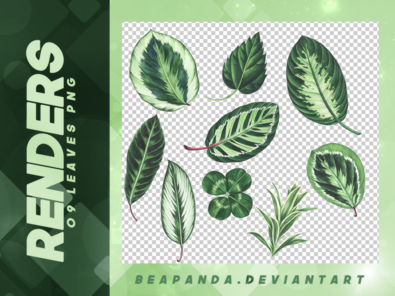 叶子、绿色的树叶造型之PNG图片免扣图透明格式笔刷素材