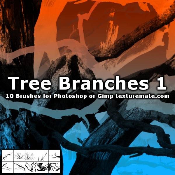 10种高清树干、树木、枯树图像Photoshop笔刷下载