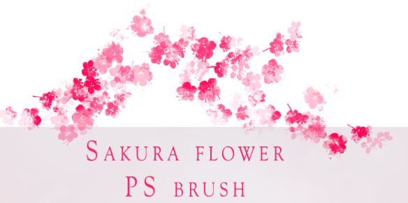 粉嫩樱花纹理、桃花、鲜花水粉图案PS笔刷