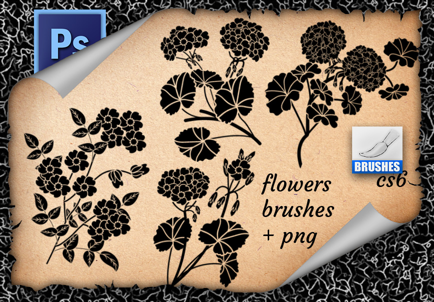 漂亮盛开的鲜花花朵花纹Photoshop笔刷下载