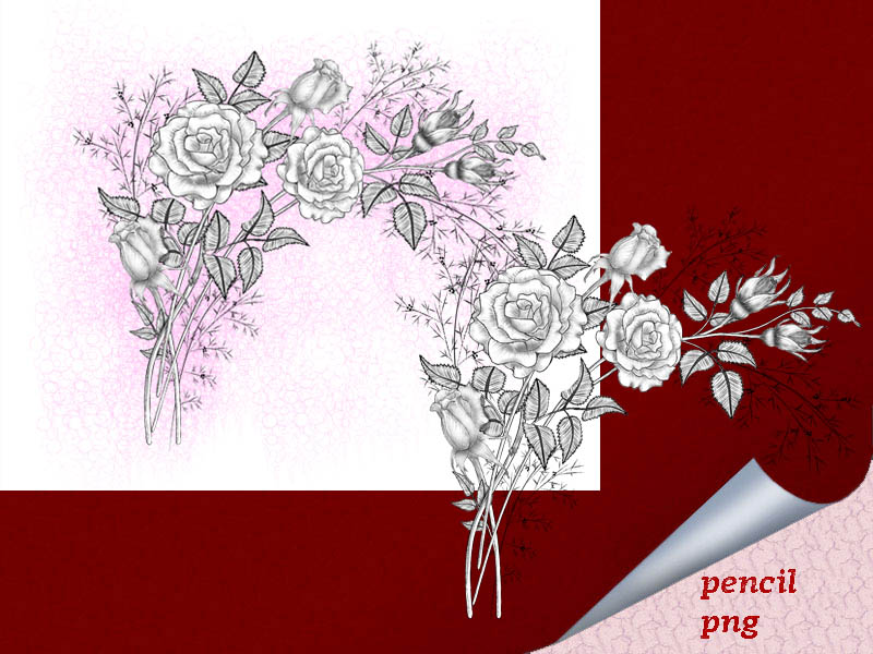 漂亮的玫瑰花花束素描图案PS笔刷下载（PNG图片格式）