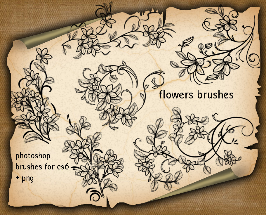 漂亮的手绘植物叶子、茎叶花纹图案PS笔刷下载