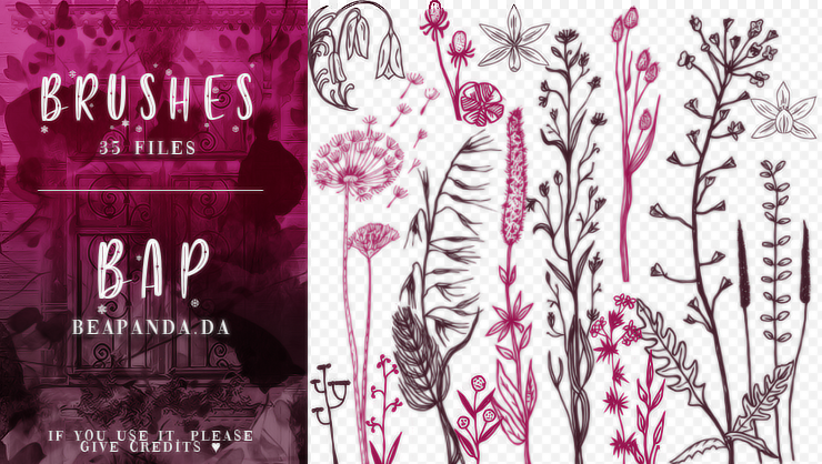 35种手绘植物野草印花图案PS笔刷素材免费下载