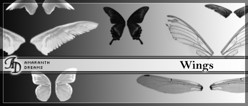 天使翅膀、蝴蝶翅膀、昆虫翅膀PS笔刷