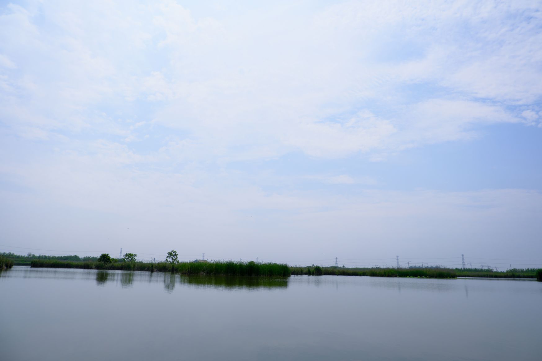 春天的湿地背景照片