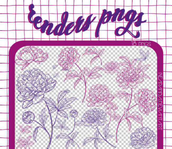 18种手绘精美的的鲜花花朵图案PS笔刷（PNG图片格式）