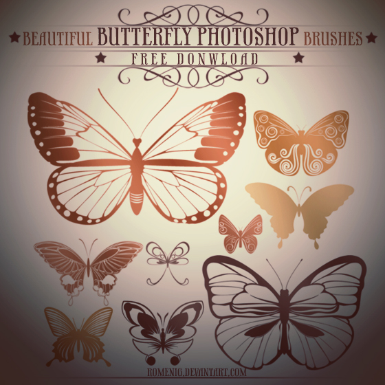 昆虫蝴蝶图案PS笔刷素材