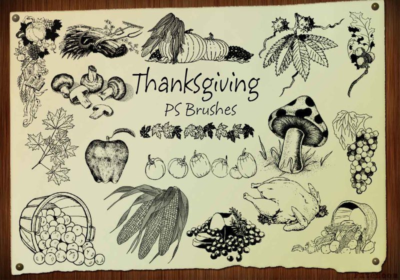 感恩节食物笔刷